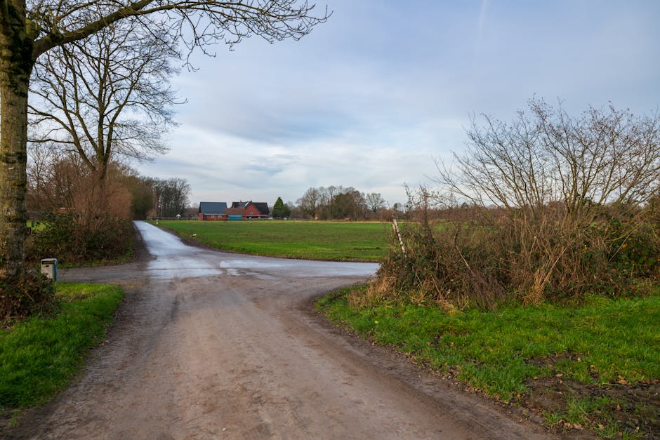 A tranquil rural dirt road intersection in a scenic countryside setting under a clear sky.